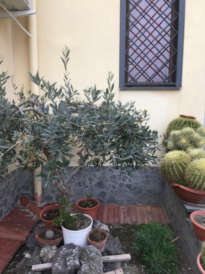 B&B Real La Favorita Ercolano Eksteriør bilde